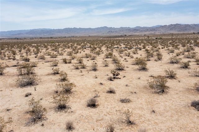4687 Border Ave, Joshua Tree, CA 92252 - photo 11