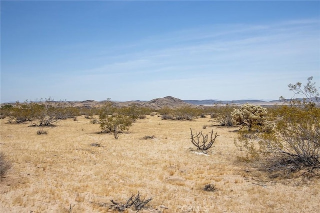 4687 Border Ave, Joshua Tree, CA 92252 - photo 16