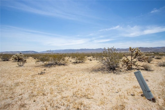 4687 Border Ave, Joshua Tree, CA 92252 - photo 19