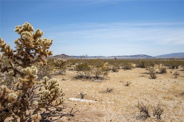 4687 Border Ave, Joshua Tree, CA 92252