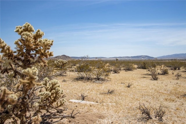 4687 Border Ave, Joshua Tree, CA 92252 - photo 14