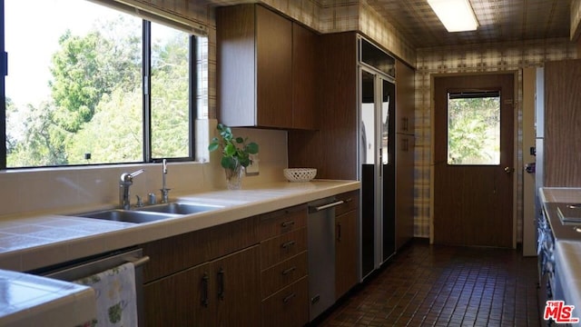 kitchen featuring stainless steel dishwasher, sink, dark brown cabinetry, and a healthy amount of sunlight