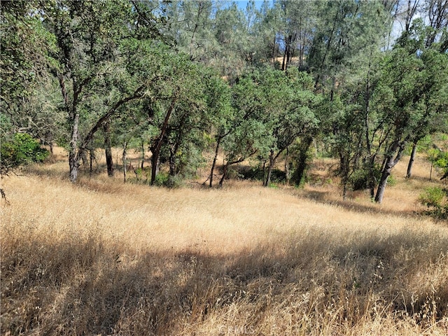 16387 Stagecoach Rd, Corning CA, 96021 land for sale