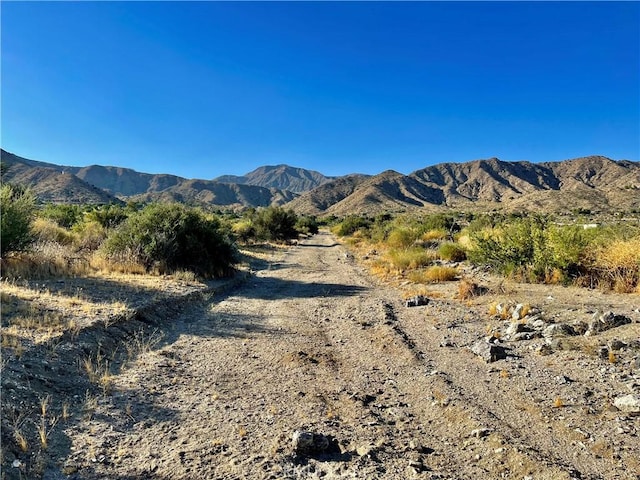 49200 Old Mill Rd, Morongo Valley, CA 92256 - photo 12