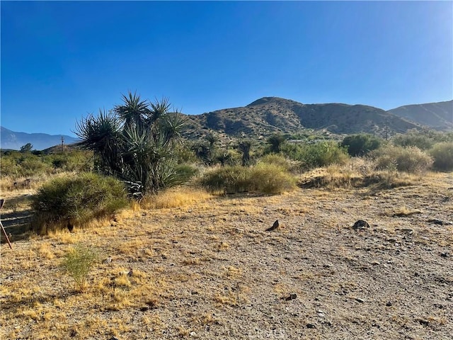 49200 Old Mill Rd, Morongo Valley, CA 92256 - photo 5