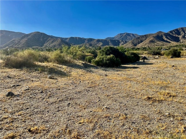 49200 Old Mill Rd, Morongo Valley, CA 92256 - photo 7