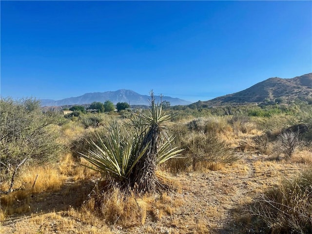 49200 Old Mill Rd, Morongo Valley, CA 92256 - photo 3