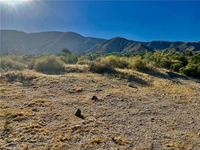 49200 Old Mill Rd, Morongo Valley, CA 92256 - photo 6