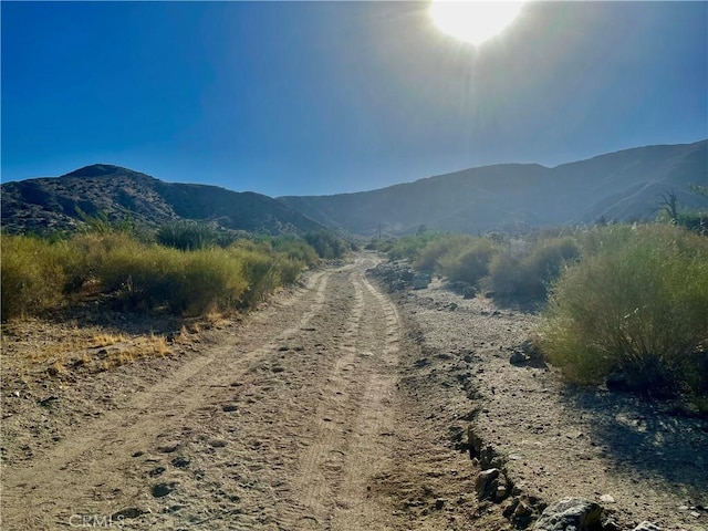 49200 Old Mill Rd, Morongo Valley, CA 92256 - photo 11