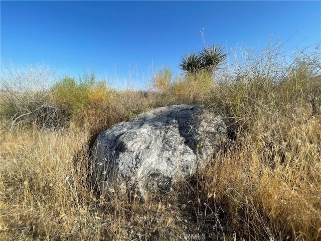 49200 Old Mill Rd, Morongo Valley, CA 92256 - photo 10