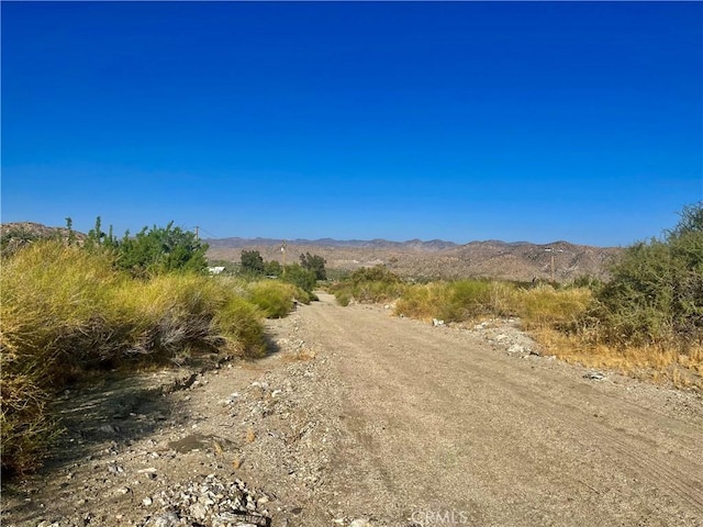49200 Old Mill Rd, Morongo Valley, CA 92256 - photo 13