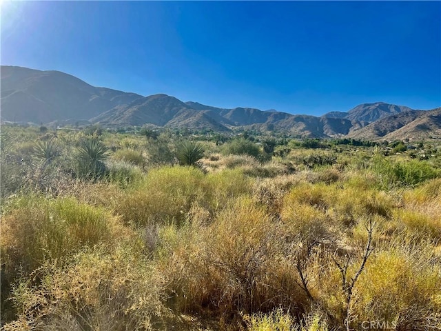 49200 Old Mill Rd, Morongo Valley, CA 92256 - photo 9