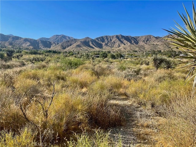 49200 Old Mill Rd, Morongo Valley, CA 92256 - photo 8