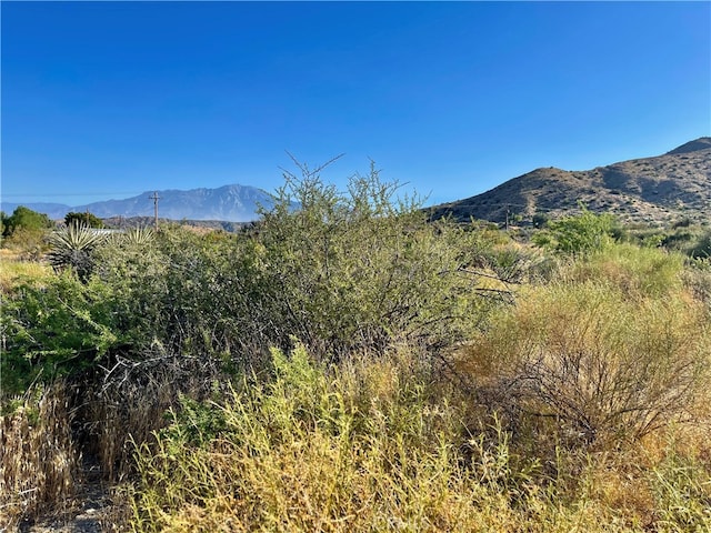 Listing photo 2 for 49200 Old Mill Rd, Morongo Valley CA 92256