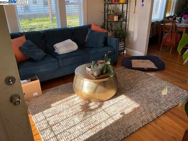 living room with hardwood / wood-style flooring