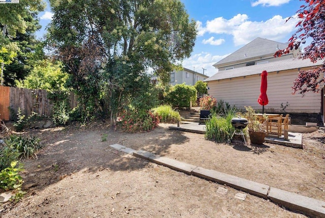 view of yard featuring a patio area