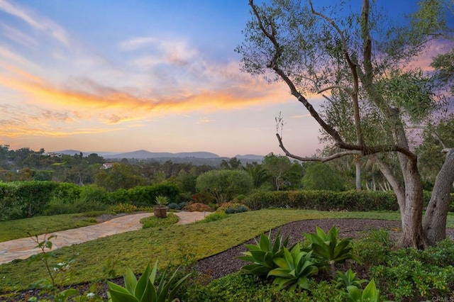 view of home's community with a mountain view