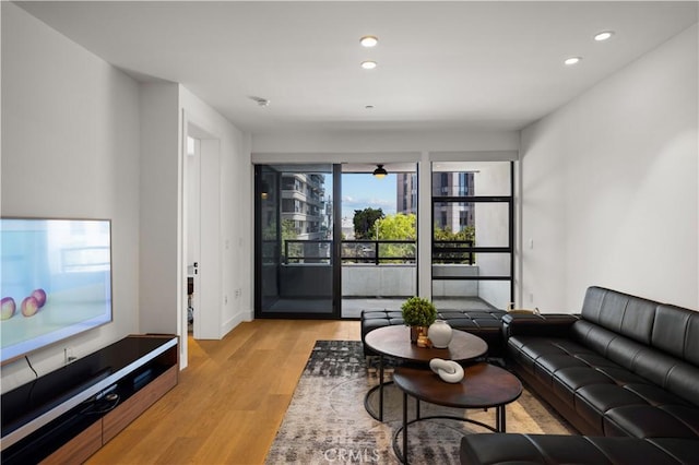 living room featuring light hardwood / wood-style flooring