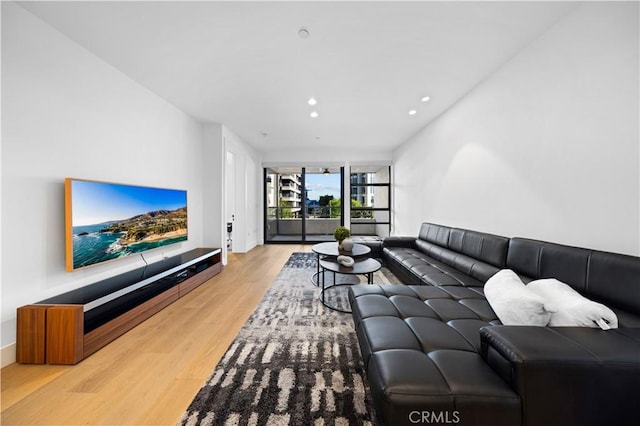 living room with hardwood / wood-style floors