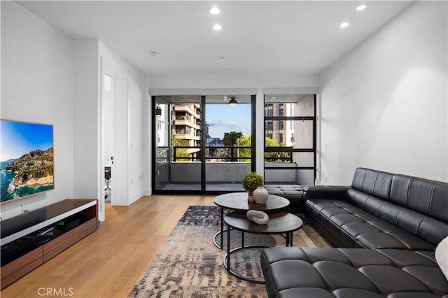 living room featuring light hardwood / wood-style floors