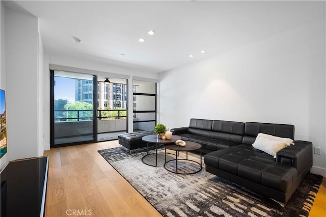 living room featuring light hardwood / wood-style flooring