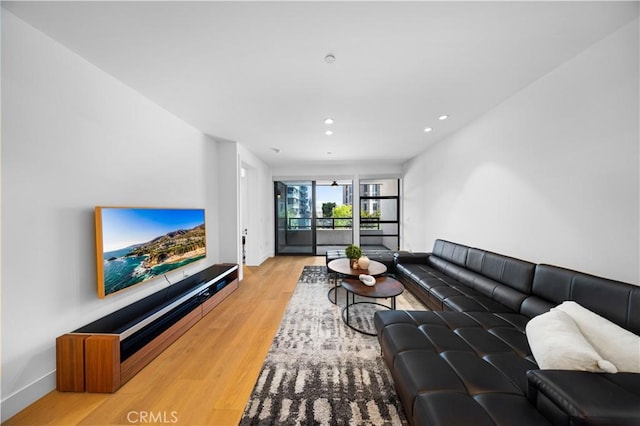 living room with light hardwood / wood-style flooring