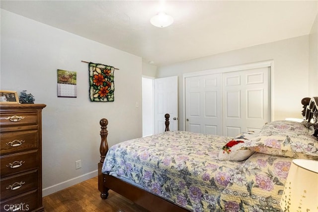 bedroom featuring dark hardwood / wood-style floors and a closet