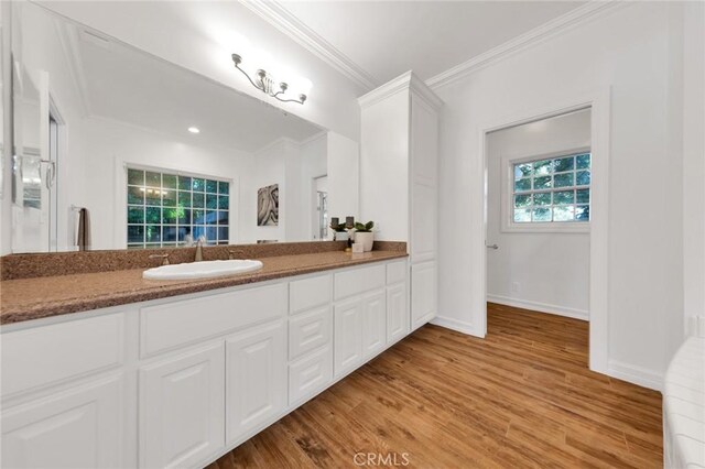 bathroom featuring vanity, ornamental molding, and hardwood / wood-style flooring