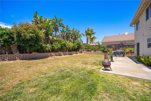 view of yard with a patio