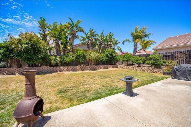 view of yard with a patio