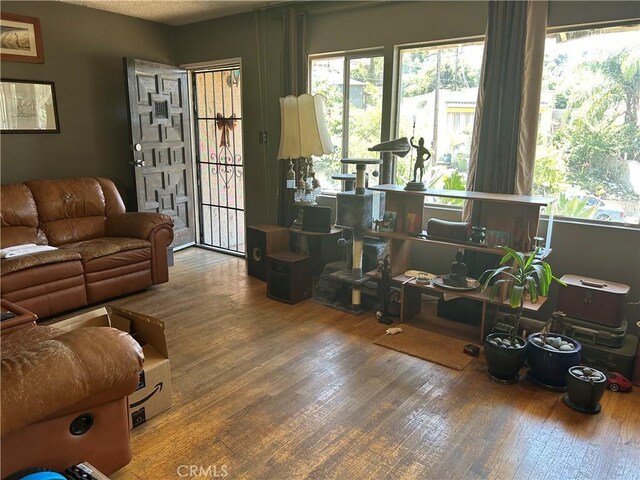 living room featuring wood-type flooring