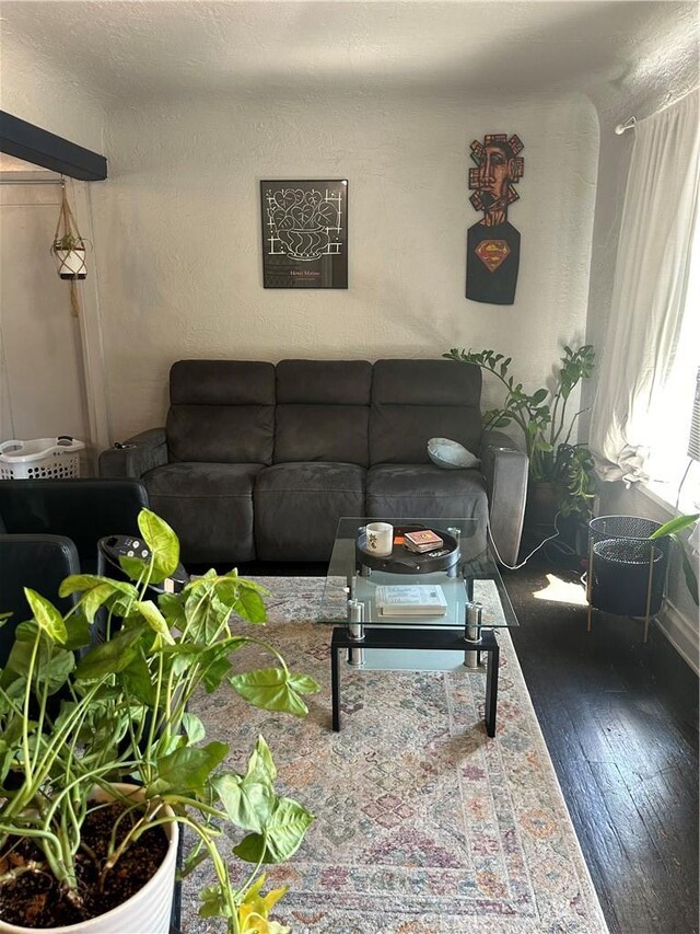 living room with dark hardwood / wood-style floors