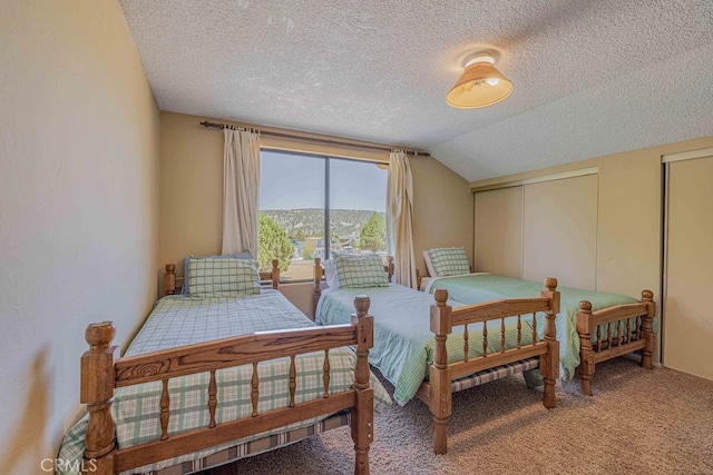 bedroom featuring a textured ceiling, a mountain view, carpet floors, and vaulted ceiling