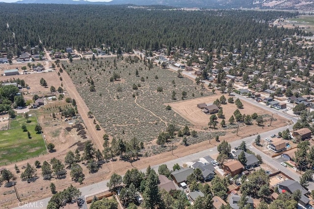 2190 State, Big Bear City, CA 92314 - photo 49