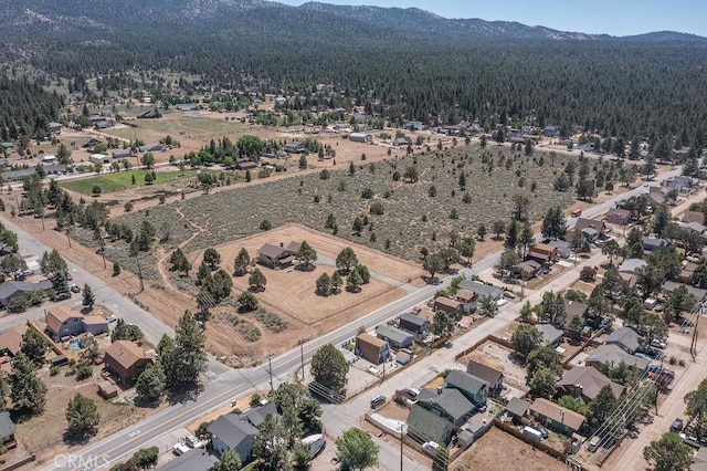 bird's eye view featuring a mountain view