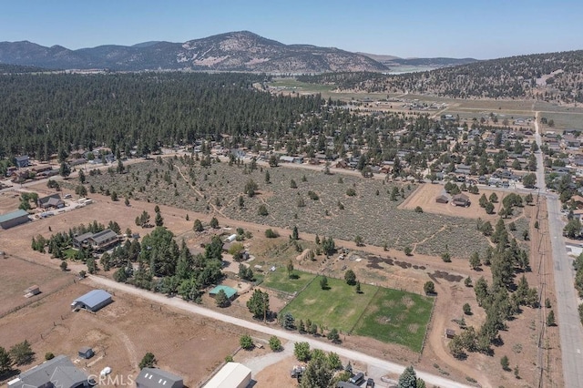 2190 State, Big Bear City, CA 92314 - photo 50