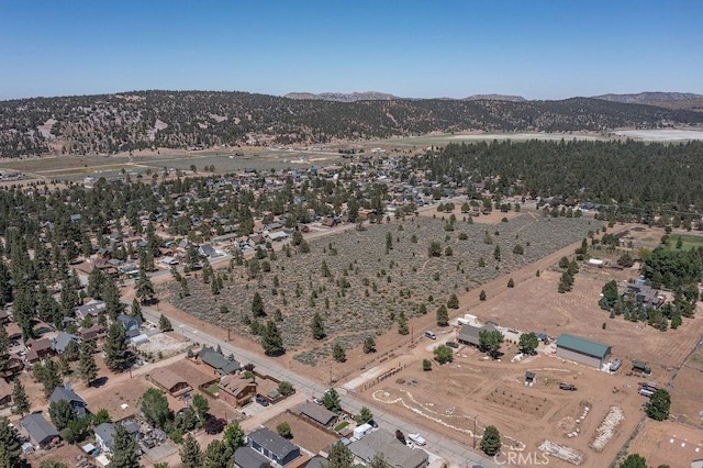 bird's eye view featuring a mountain view