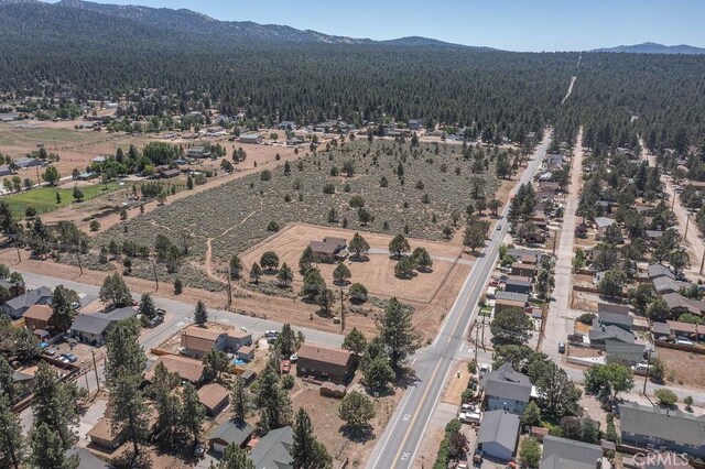 2190 State, Big Bear City, CA 92314 - photo 47