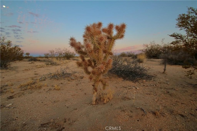 0 Milky Way Ave, Joshua Tree, CA 92252 - photo 4
