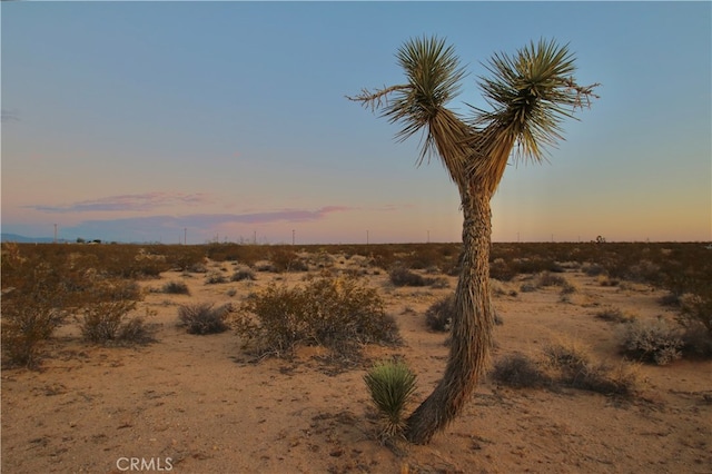 Listing photo 2 for 0 Milky Way Ave, Joshua Tree CA 92252