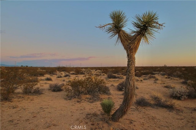 0 Milky Way Ave, Joshua Tree, CA 92252 - photo 2