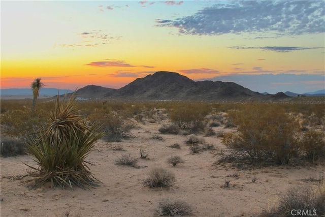 0 Milky Way Ave, Joshua Tree CA, 92252 land for sale