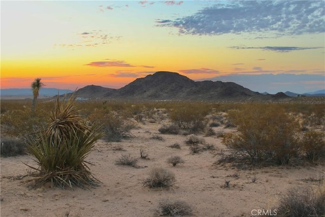 0 Milky Way Ave, Joshua Tree, CA 92252 - photo 1