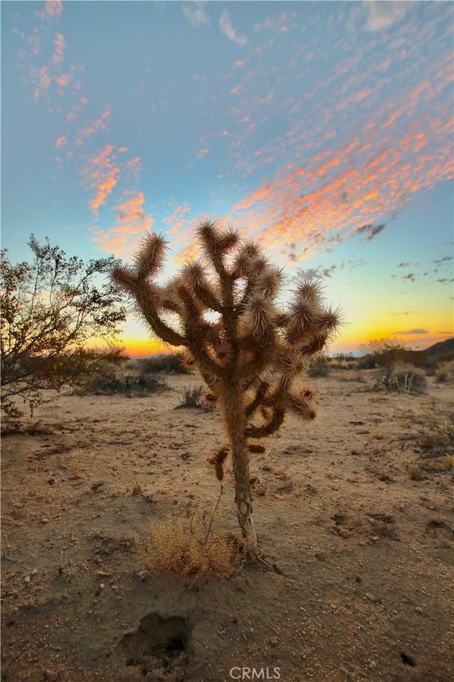 0 Milky Way Ave, Joshua Tree, CA 92252 - photo 13