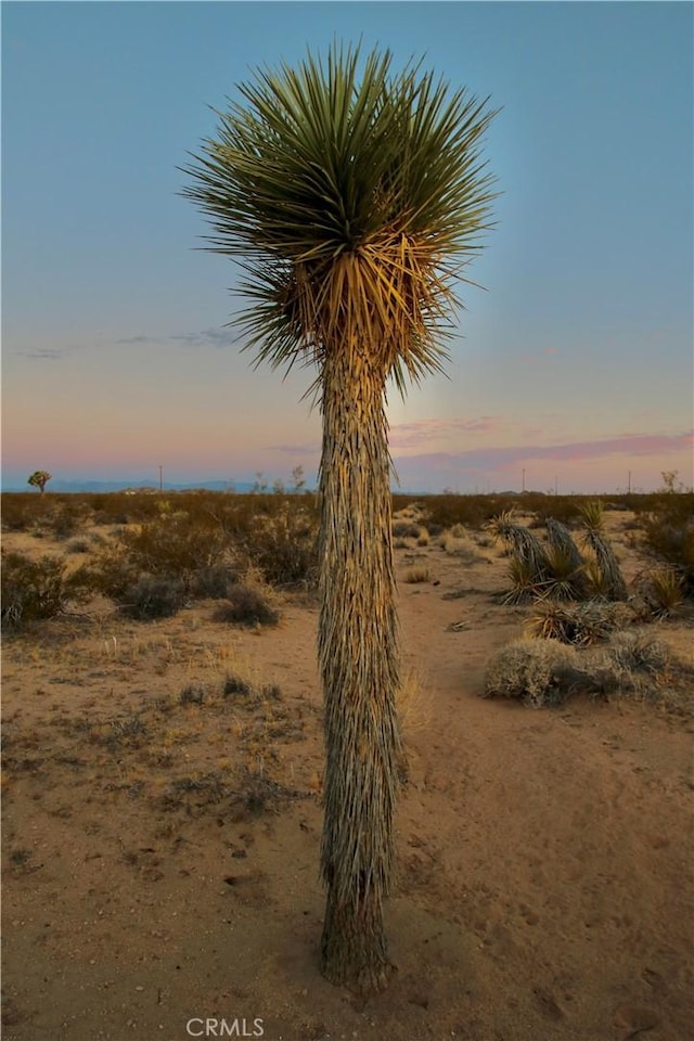 0 Milky Way Ave, Joshua Tree, CA 92252 - photo 14