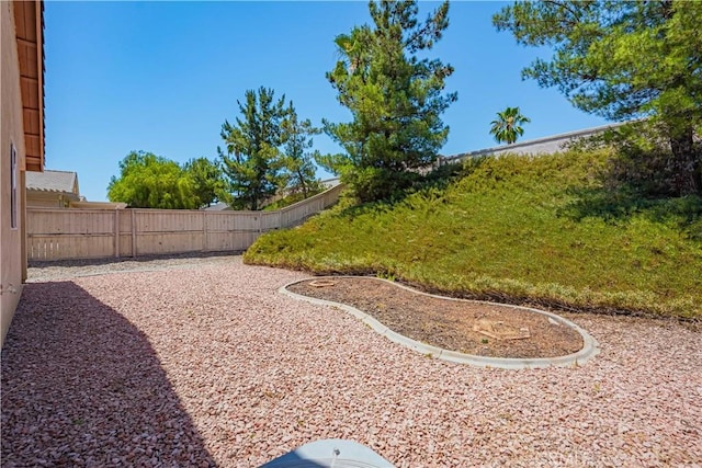 view of yard featuring a patio area