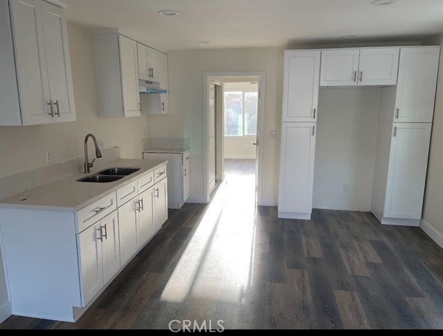 kitchen with dark hardwood / wood-style floors, white cabinetry, and sink