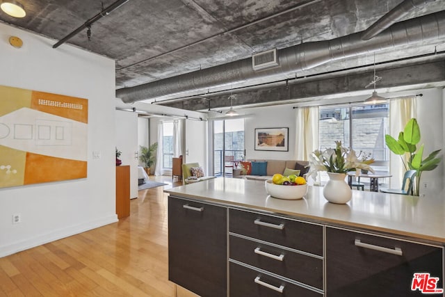 kitchen with dark brown cabinetry and light hardwood / wood-style flooring