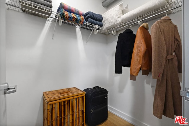 walk in closet with wood-type flooring