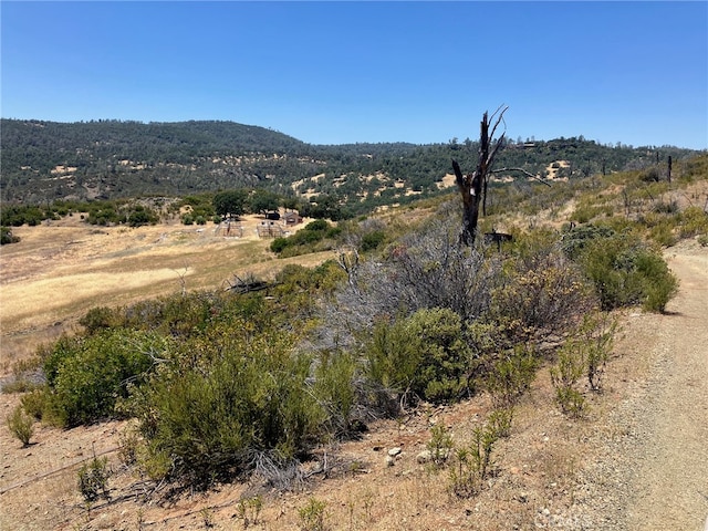 22182 Jerusalem Grade, Middletown CA, 95461 land for sale